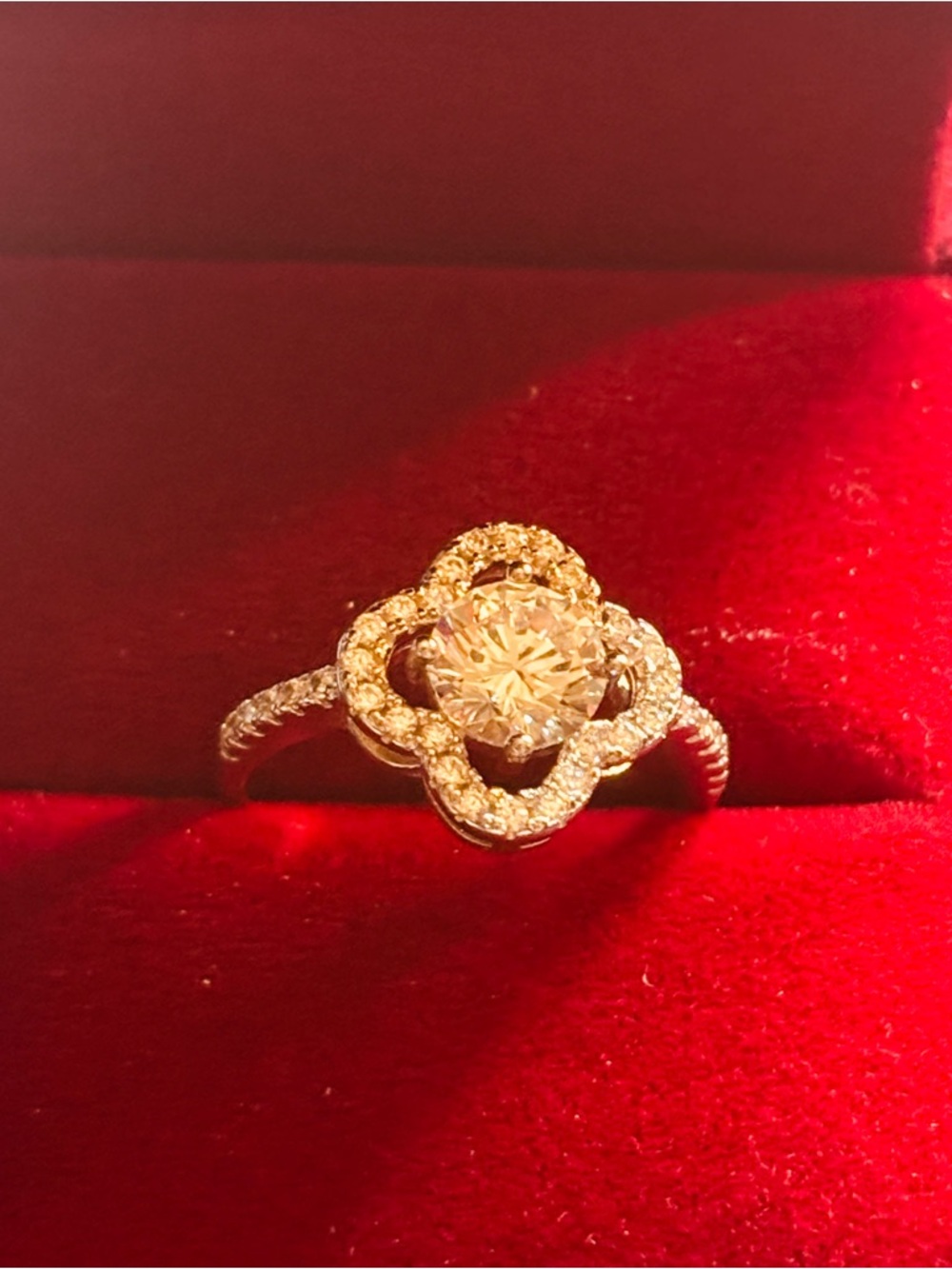 Sparkling Floral Halo Ring in Gold with Clear Center Stone-Size 6
